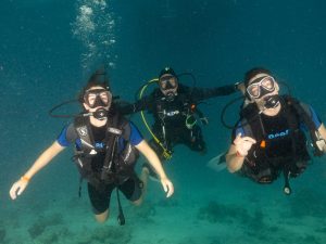 Tauchen Für Anfänger