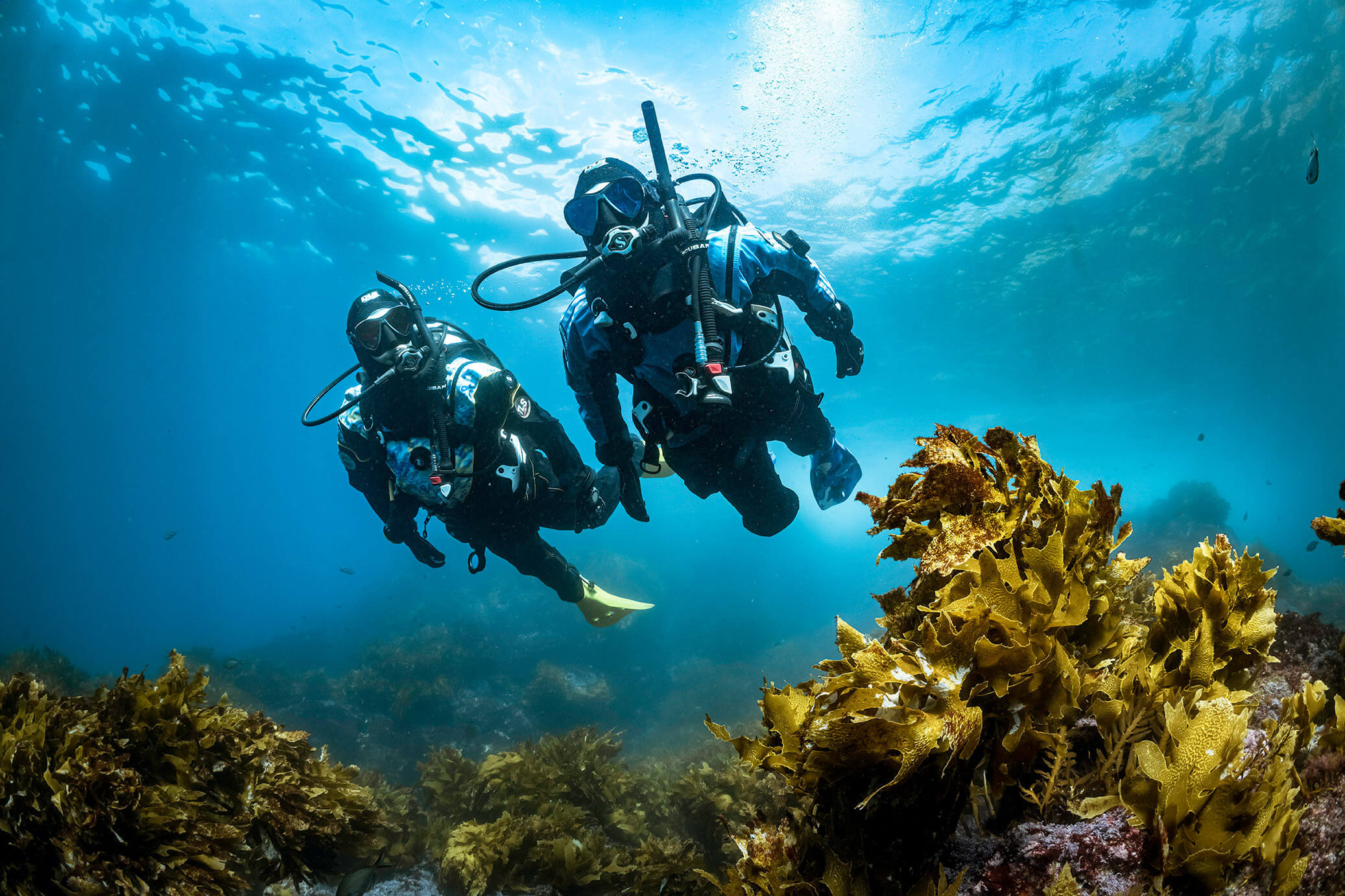 Tauchen Daily Dive Hurghada
