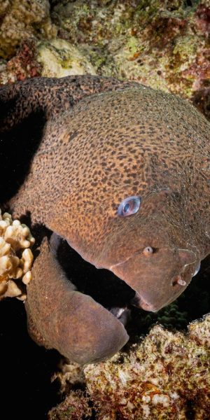 WhatsApp Image 2025 05 27 At 7.27.58 PM (1)