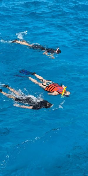 WhatsApp Image 2025 05 27 At 7.35.43 PM (2)